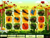 Jetzt können Sie in die Welt der kleinen Tiere mit online Video Slot Small life kennen lernen!