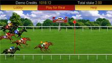 horse race online gambleing